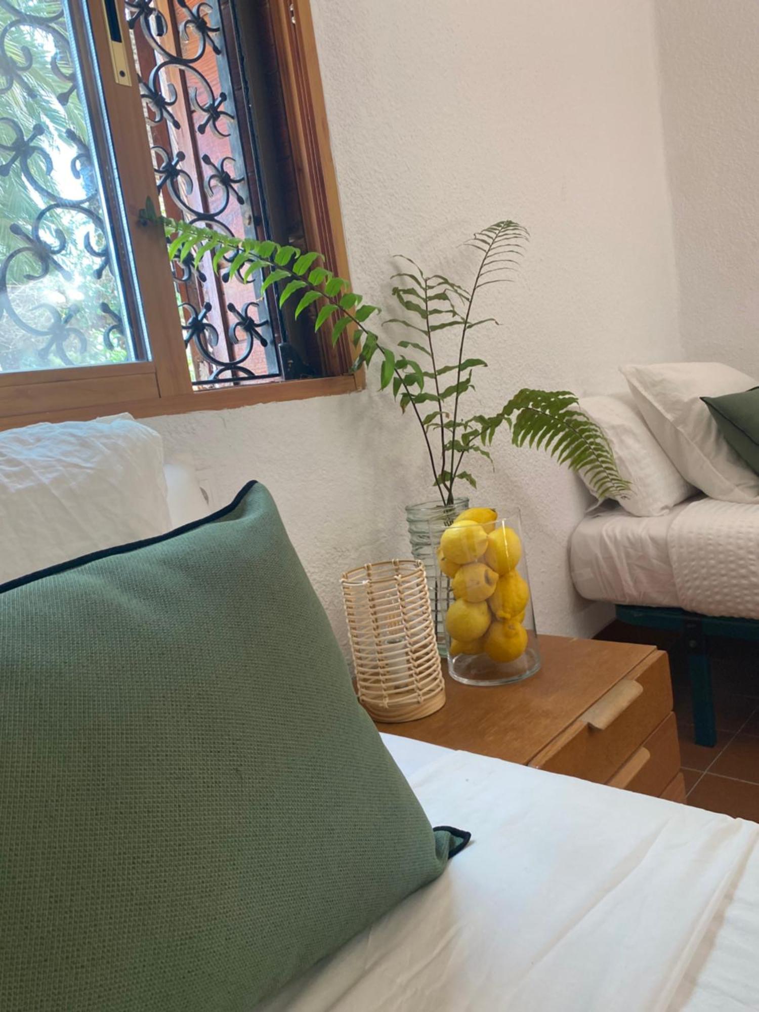 Bed and Breakfast Pink Lemon House Ельче Екстер'єр фото